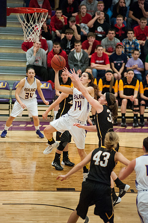 AUvsMichTechWBballALW_9894