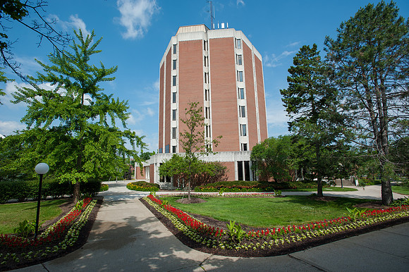 LibraryALW_8947