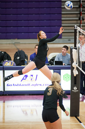 AUvOHDomVballALW_7197