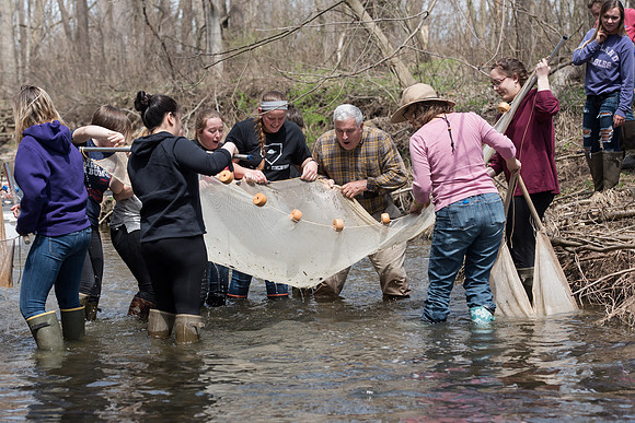 Biology Stream Clean Up - Canfield Preserve